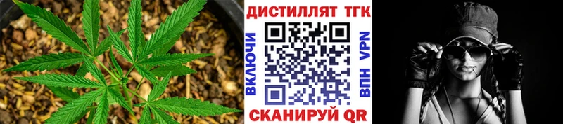 МЕГА маркетплейс  Судогда  Дистиллят ТГК жижа 