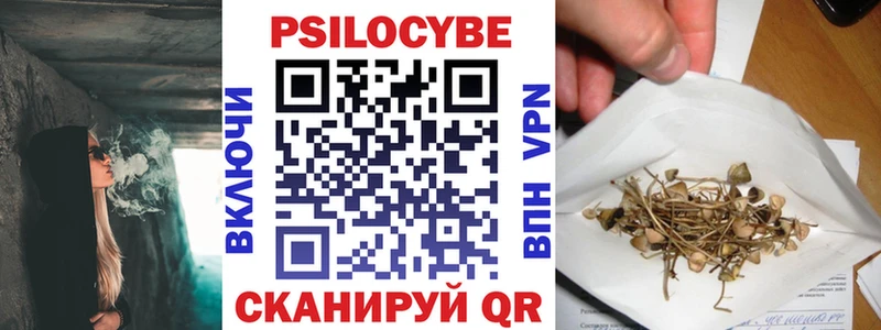 Псилоцибиновые грибы Psilocybe Судогда