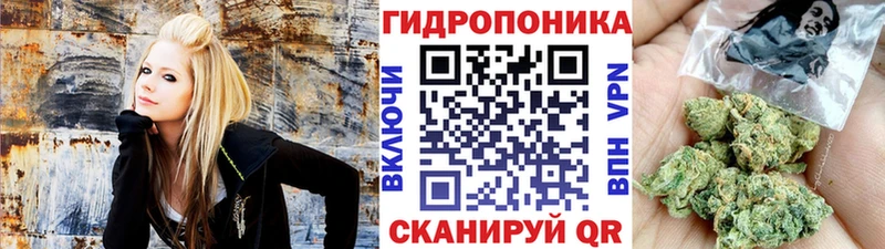 KRAKEN сайт  Судогда  Бошки марихуана сатива 
